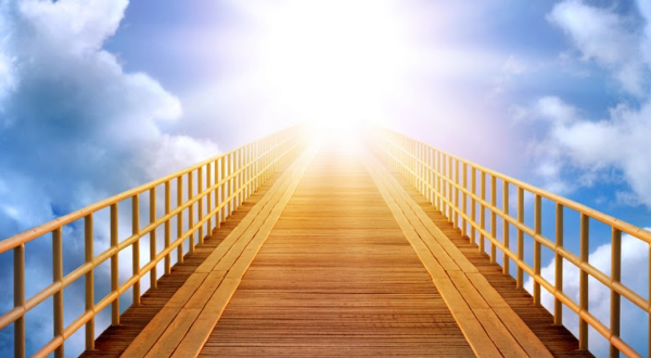 banner-2-600x330